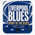 Liverpool Blues Football Sound Magnet - product image 1