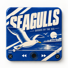 Sussex Blue & White Football Sound Magnet - product image 1