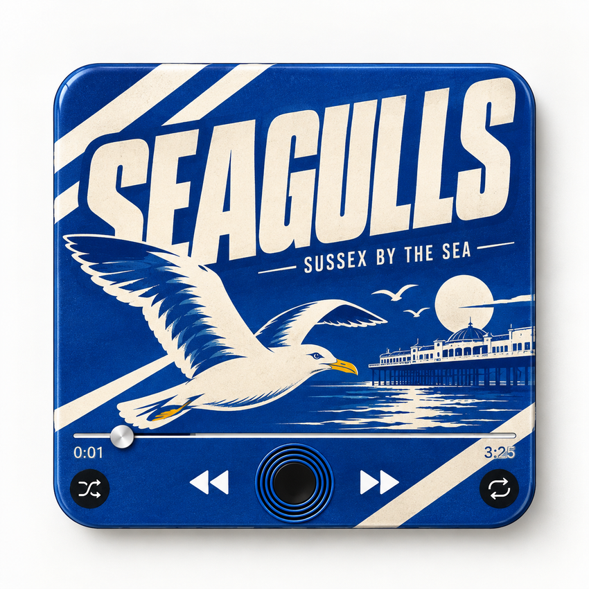 Sussex Blue & White Football Sound Magnet - product image 1