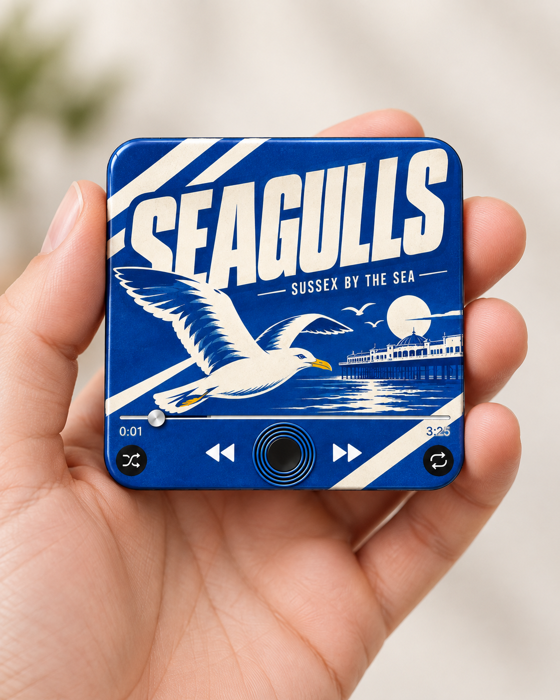 Sussex Blue & White Football Sound Magnet - product image 2