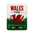 Wales Football Sound Magnet - product image 1